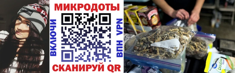 Галлюциногенные грибы мицелий  купить закладку  Бабаево 
